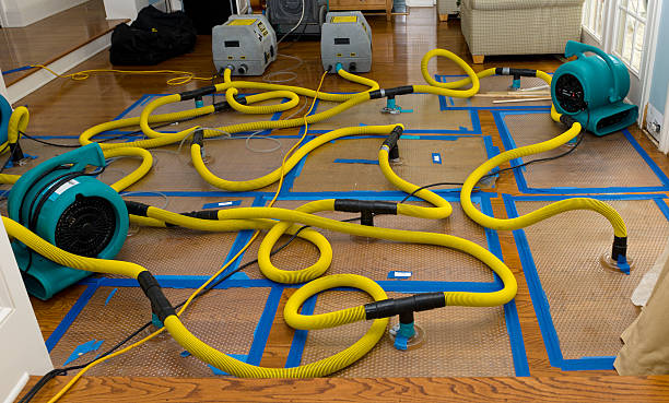 Professional Water Damage Restoration technician working in Burt, MI