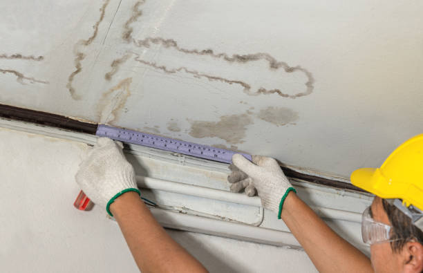 Affordable Water Damage Restoration solutions in Burt, MI